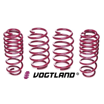 Vogtland Springs - Suits Ford Mondeo BA7 #953109